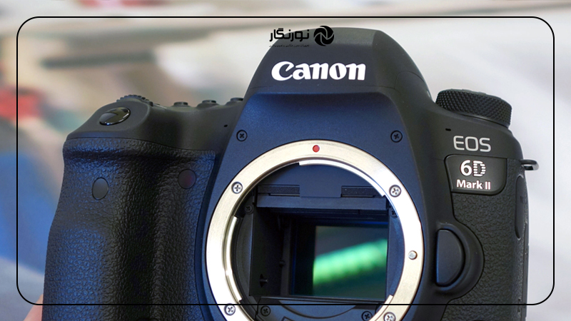 ارگونومی، منظرهیاب و تجربه کاربری Canon EOS R8 در برابر 6D Mark II