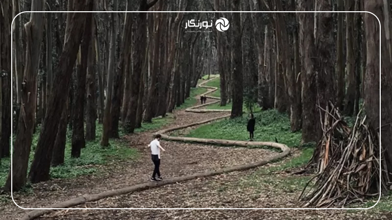 استفاده از خطوط پیشرو در عکاسی با موبایل