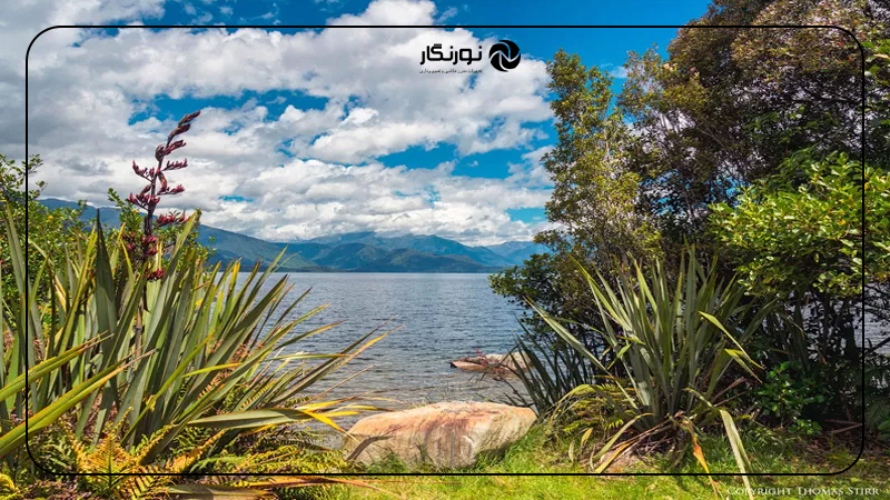 اصول ترکیببندی حرفهای