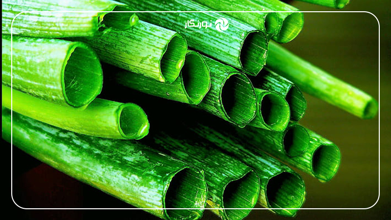 انتقال تجربه در عکاسی ماکرو از بافت میوهها