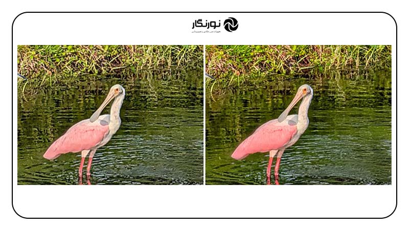 تست واقعی Pro Res Zoom در پیکسل 10 پرو