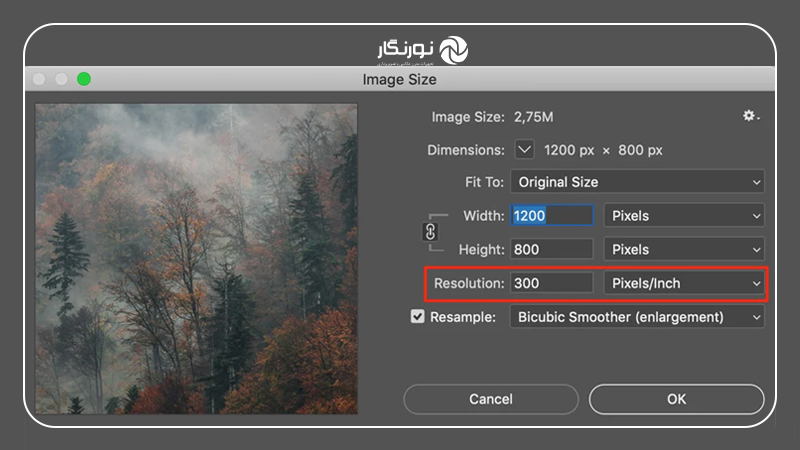 تنظیم رزولوشن و ابعاد مناسب برای چاپ حرفهای