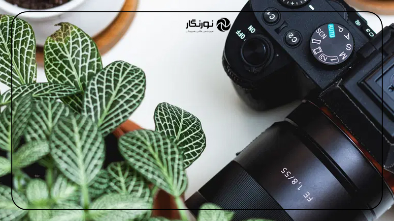 قیمت، بازار دستدوم و ارزش بلندمدت Sony A7 IV و A7 III
