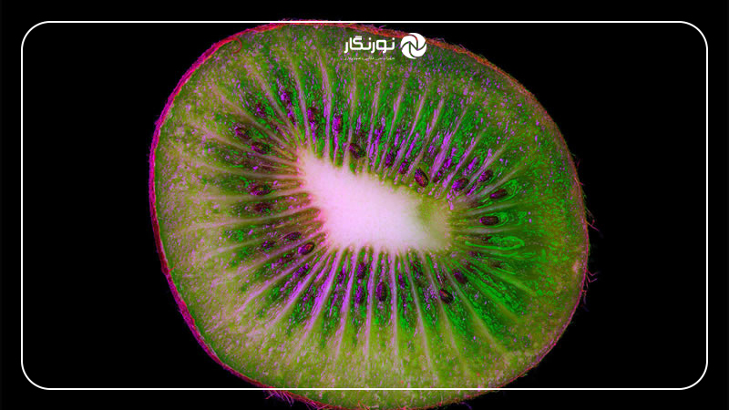 مثال عملی از عکاسی ماکرو از بافت میوهها