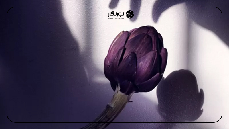 نور مهمترین نکته در هنر عکاسی با موبایل