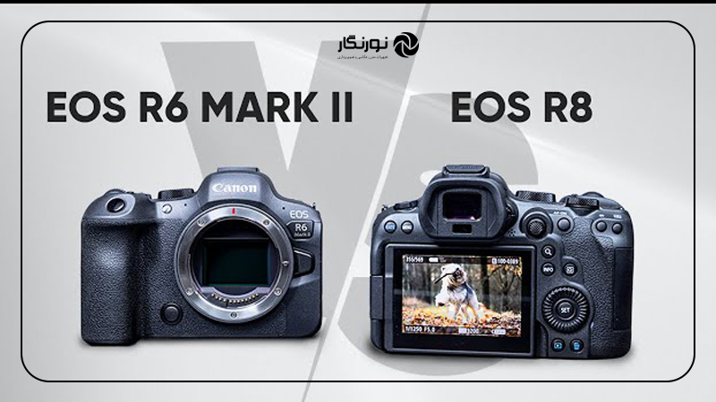 Canon EOS R8 در برابر 6D Mark II