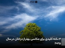 4 نکته کلیدی برای عکاسی از درختان
