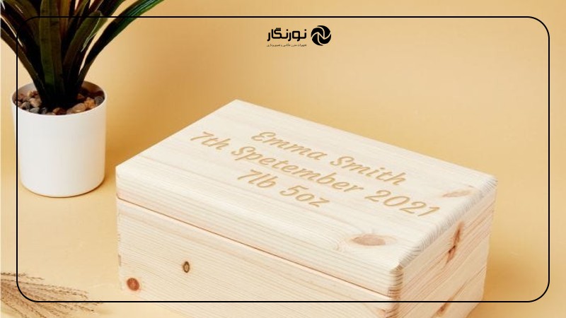 ایده هدیه کوچک؛ گیاهان آپارتمانی کوچک