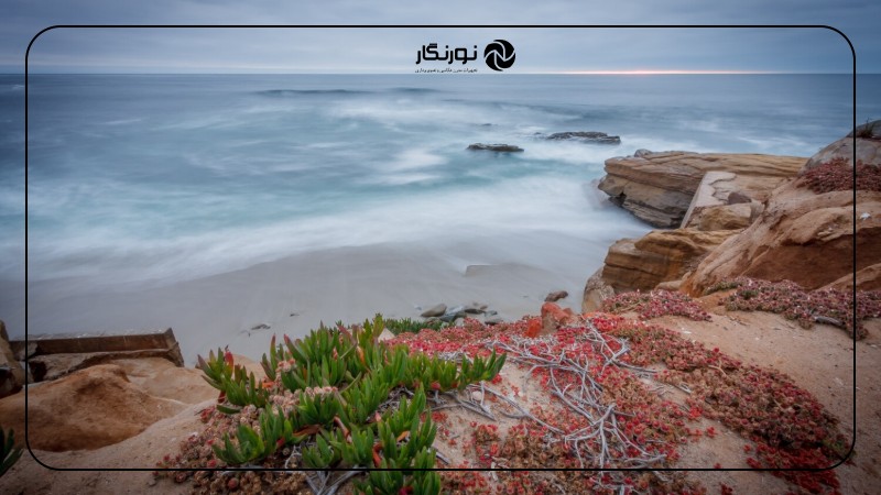 تصویر میانی ۲ - راهنمای جامع عکاسی از طبیعت و حیات وحش برای مبتدیان: خلق تصاویری ماندگار