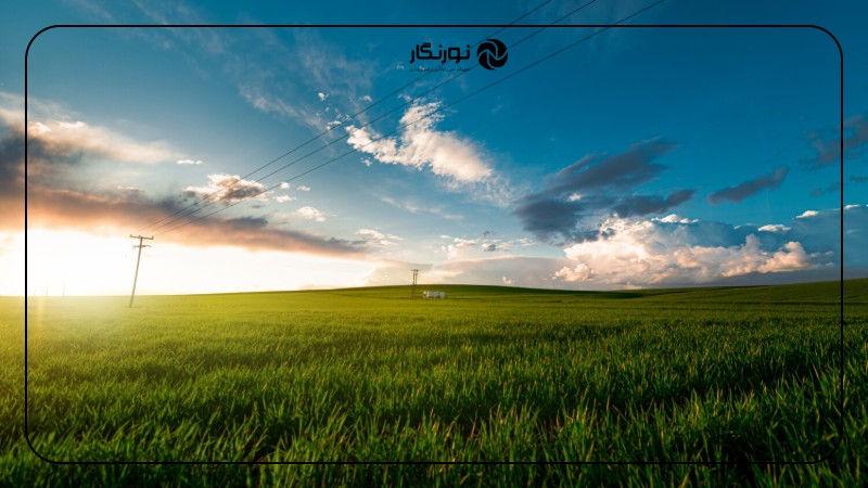 تصویر میانی ۳ - راهنمای جامع عکاسی از طبیعت و حیات وحش برای مبتدیان: خلق تصاویری ماندگار