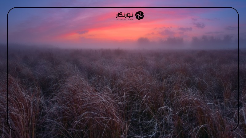 تصویر میانی ۵ - راهنمای جامع عکاسی از طبیعت و حیات وحش برای مبتدیان: خلق تصاویری ماندگار