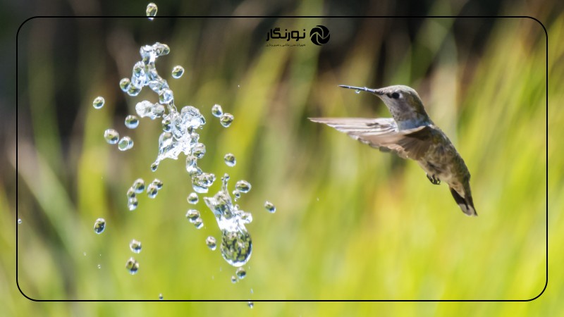 تصویر میانی ۳ - راهنمای جامع و جذاب سرعت شاتر در عکاسی: از مبتدی تا حرفهای (+ برگه تقلب کاربردی)