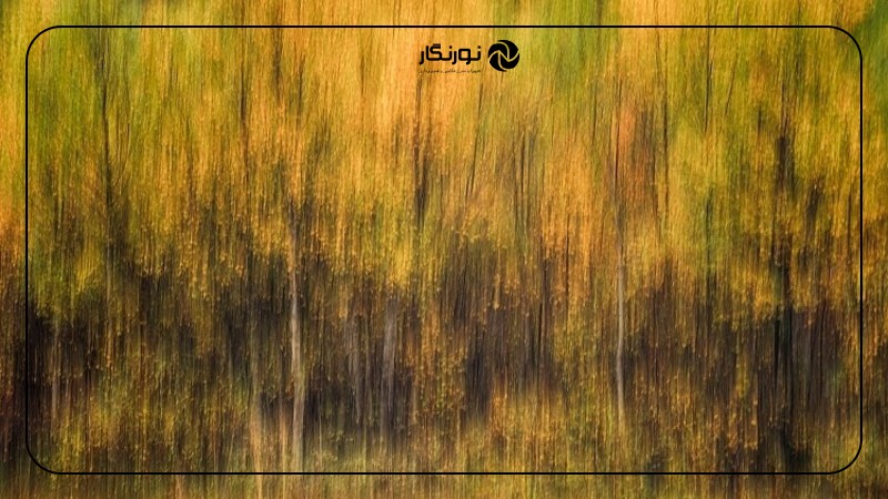 تصویر میانی ۷ - راهنمای جامع و جذاب سرعت شاتر در عکاسی: از مبتدی تا حرفهای (+ برگه تقلب کاربردی)