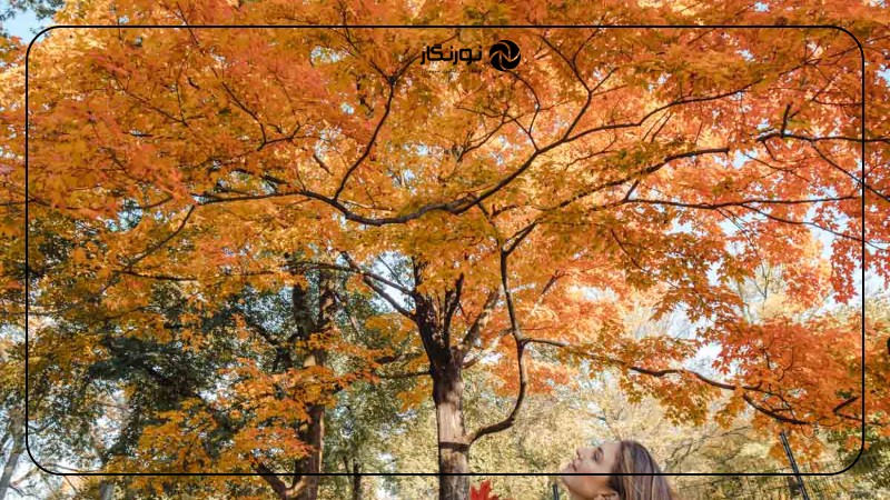 کپشن پاییزی اینستاگرام ۲۰۲۵