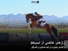 رازهای عکاسی از اسب‌ها: