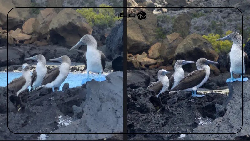 آیفون 17 پرو در برابر پیکسل 10 پرو