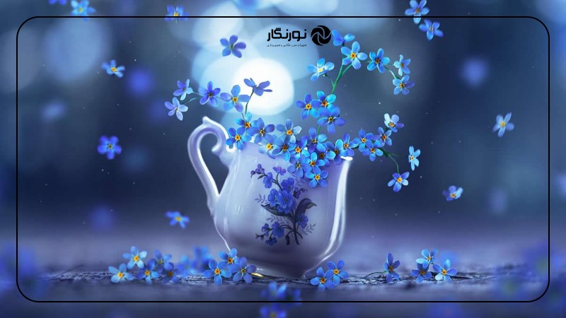 پیشگام عکاسی جادویی طبیعت بی جان