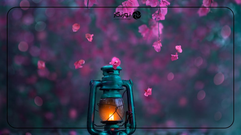 اشرف عارفین