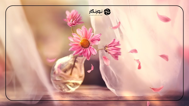 ترکیببندیهای هنرمندانه و چشم نواز