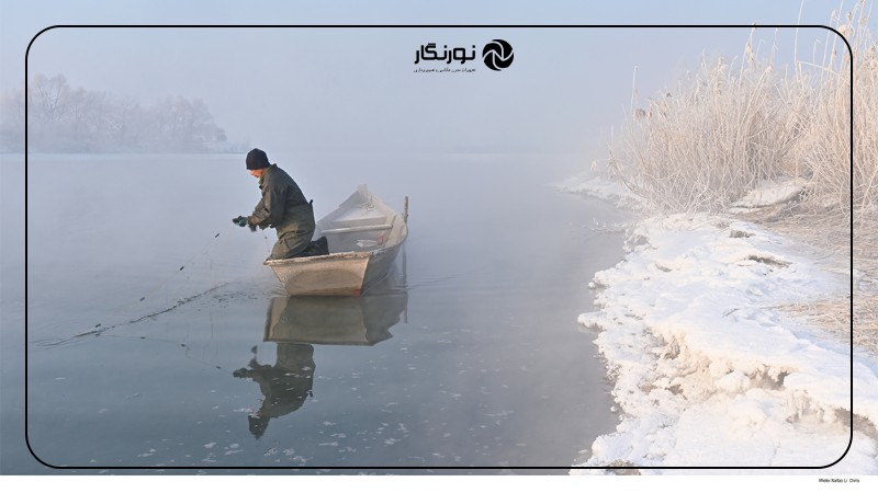 راهنمای شرکت در مسابقه نیکون