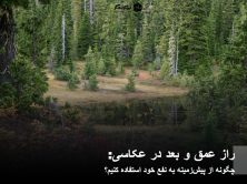 راز عمق و بعد در عکاسی: