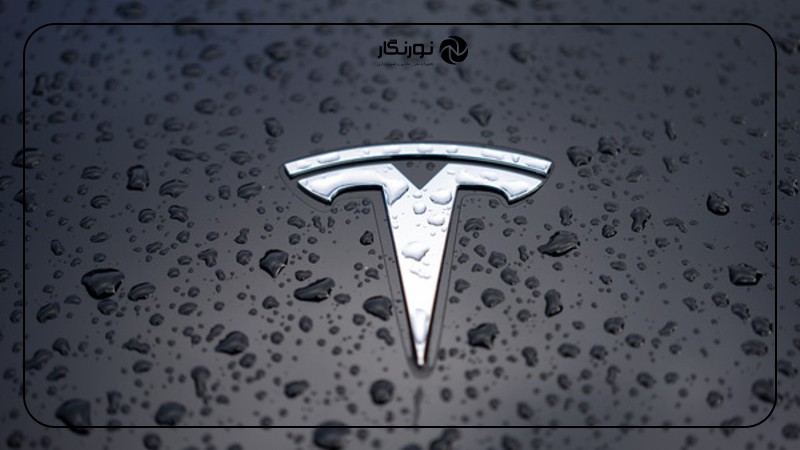 لنز ماکرو Sony G Master: بررسی و راهنمای خرید