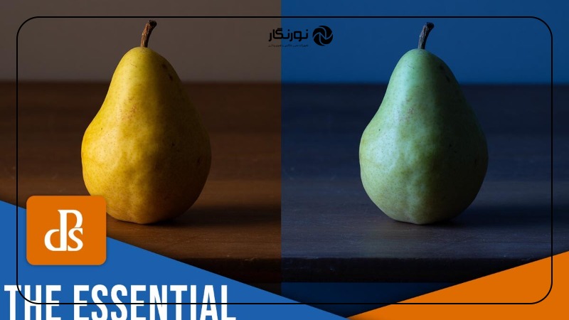 تصویر میانی ۱ - تعادل رنگ سفید در عکاسی: راهنمای جامع برای ثبت تصاویری خیرهکننده