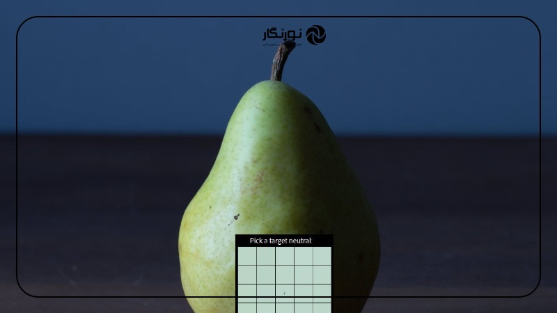 تصویر میانی ۲ - تعادل رنگ سفید در عکاسی: راهنمای جامع برای ثبت تصاویری خیرهکننده