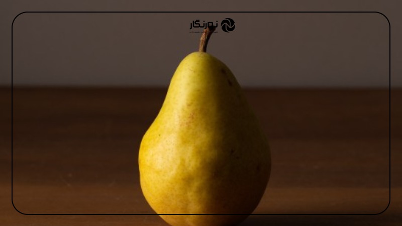 تصویر میانی ۳ - تعادل رنگ سفید در عکاسی: راهنمای جامع برای ثبت تصاویری خیرهکننده