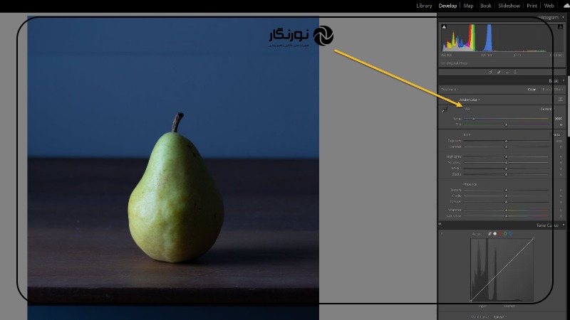 تصویر میانی ۴ - تعادل رنگ سفید در عکاسی: راهنمای جامع برای ثبت تصاویری خیرهکننده