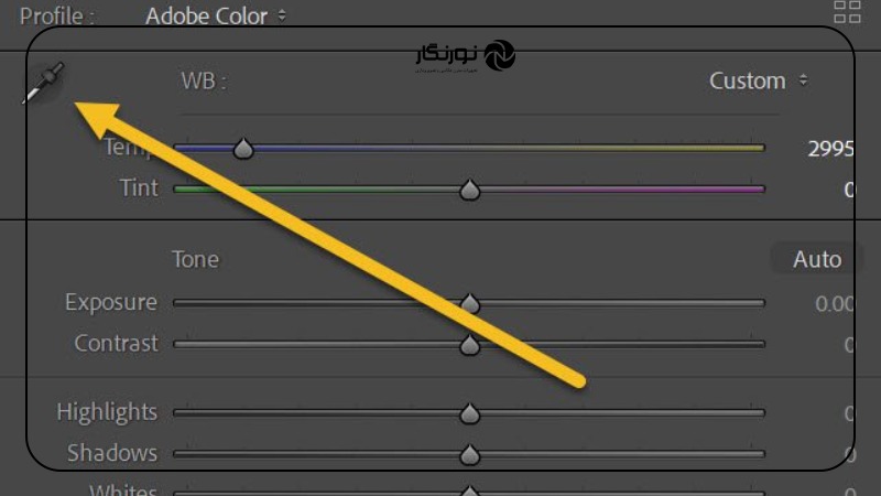 تصویر میانی ۶ - تعادل رنگ سفید در عکاسی: راهنمای جامع برای ثبت تصاویری خیرهکننده