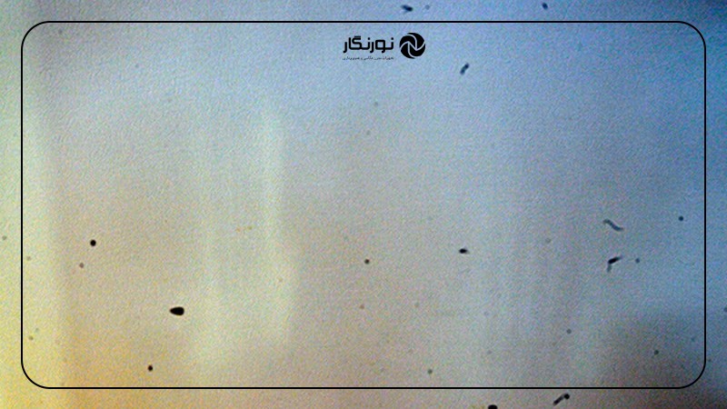 تصویر میانی ۴ - آیا لکههای روی عکسهات کلافهت کرده؟ آموزش تمیز کردن سنسور دوربین در 3 قدم ساده!