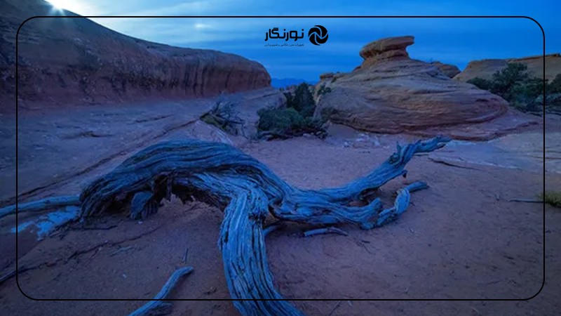 تصویر میانی ۶ - چه زمانی نباید از فیلتر پلاریزه استفاده کرد؟ راهنمای جامع و کاربردی