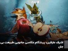 اشرف عارفین؛ پیشگام عکاسی جادویی طبیعت بی جان