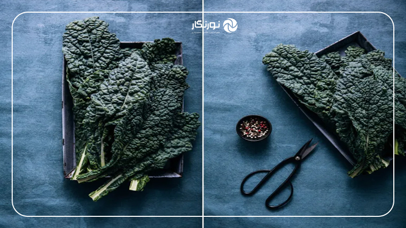 اصول کلی در انتخاب مواد و سازه بکدراپ ارزان