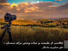 راهنمای جامع عکاسی از طبیعت و حیات وحش