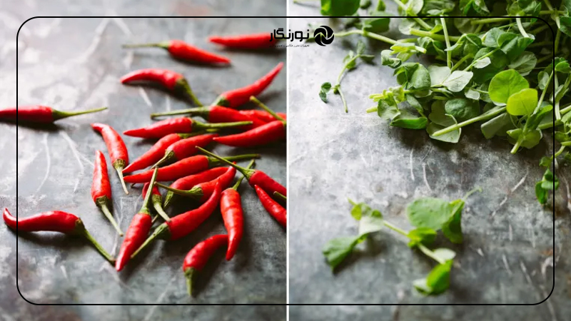 نگهداری، جابجایی و ذخیرهسازی بکدراپ ارزان