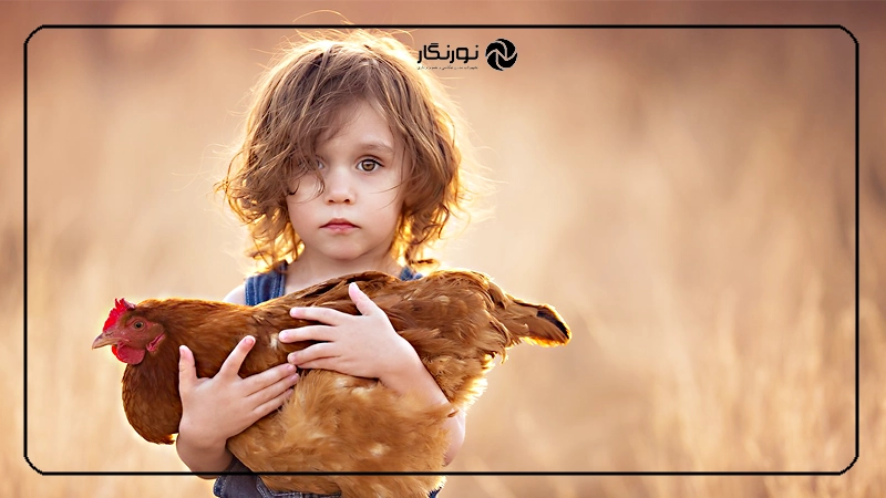 پرتره های رویایی در ساعت طلایی