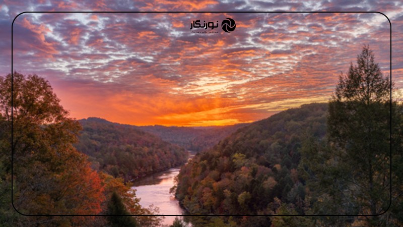 دوربین Canon R6 Mark III