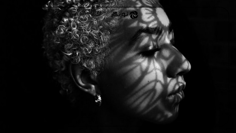 معرفی ژانرهای پولساز عکاسی در ۲۰۲۵