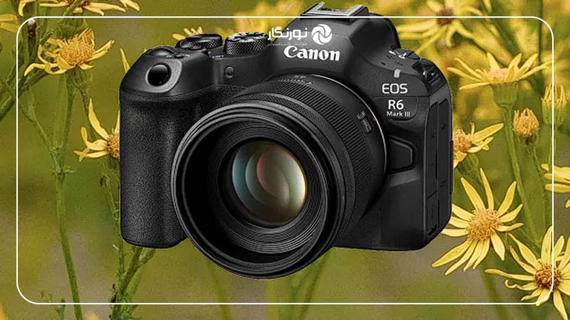 بررسی Canon EOS R6 III: جزئیات فراوان