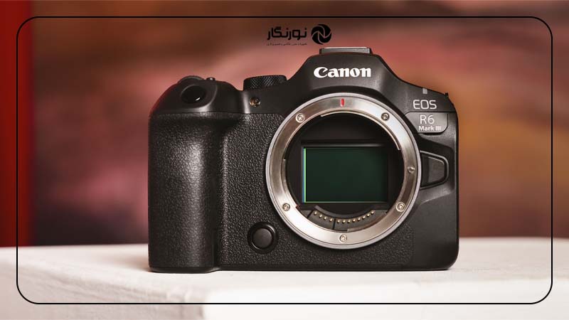 بررسی Canon EOS R6 III