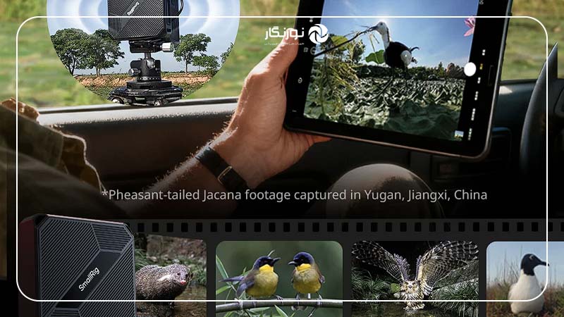 ریپیتر SmallRig Remote Wildlife Pro؛ ساخته شده برای شرایط سخت محیطی