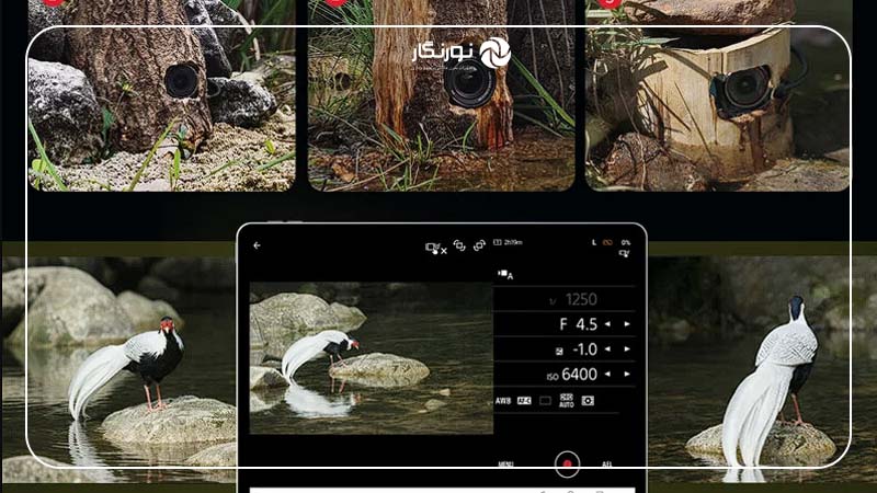 ریپیتر SmallRig Remote Wildlife Pro؛ سرعت بالا و کنترل هم‌زمان چند دوربین