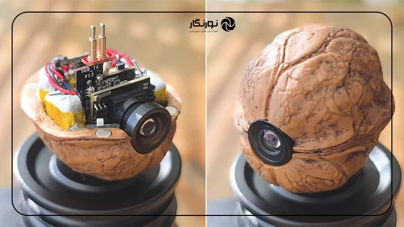 دوربین مخفی داخل گردو؛ خلاقیت عجیب یک یوتیوبر