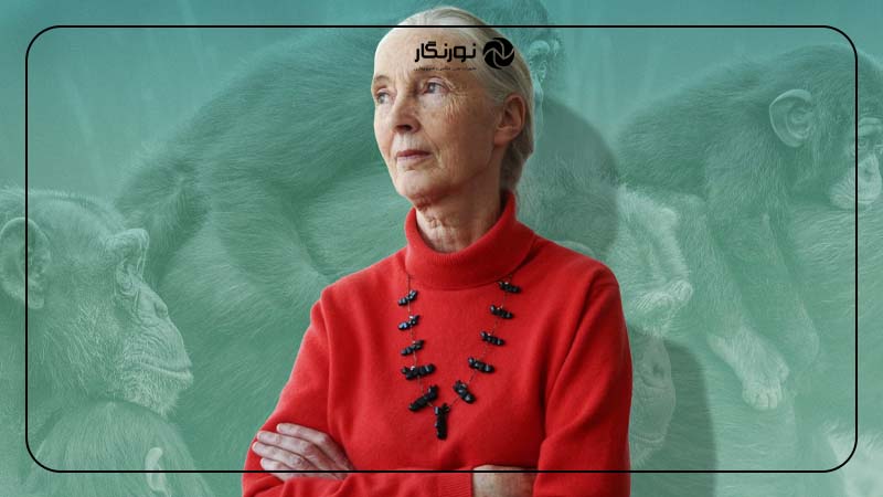 جین گودال | Jane Goodall