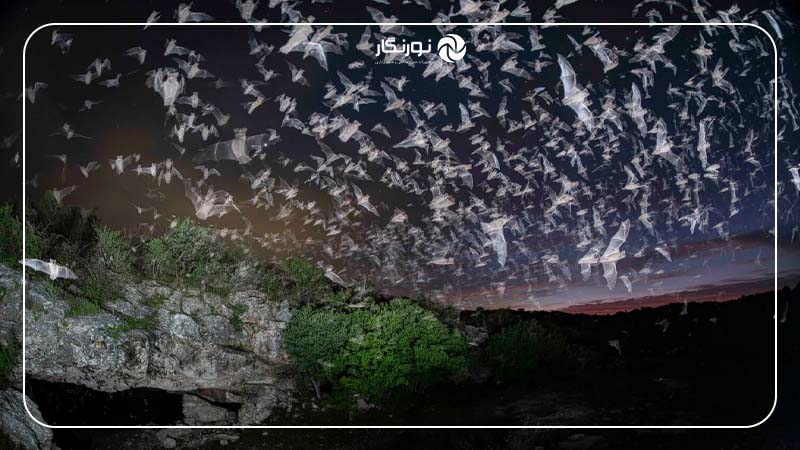 انتخاب تاریخی نشنال جئوگرافیک