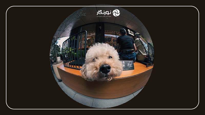 تصاویر خلاقانه لنز AstrHori 8mm F2.4