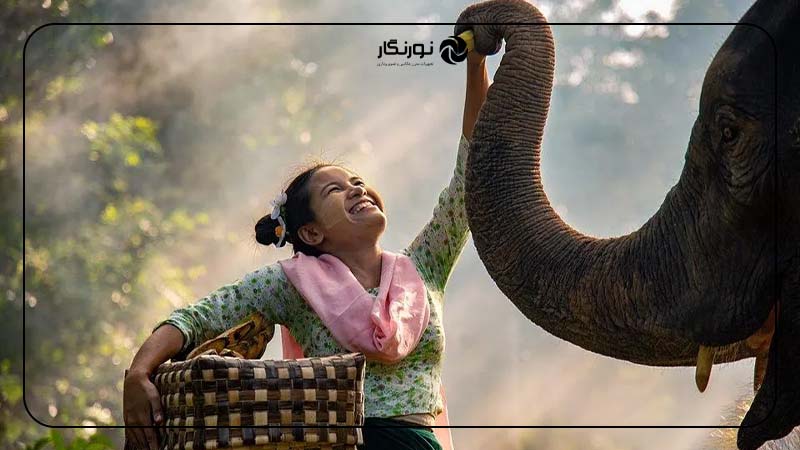 جوایز مسابقه Joy Around the World