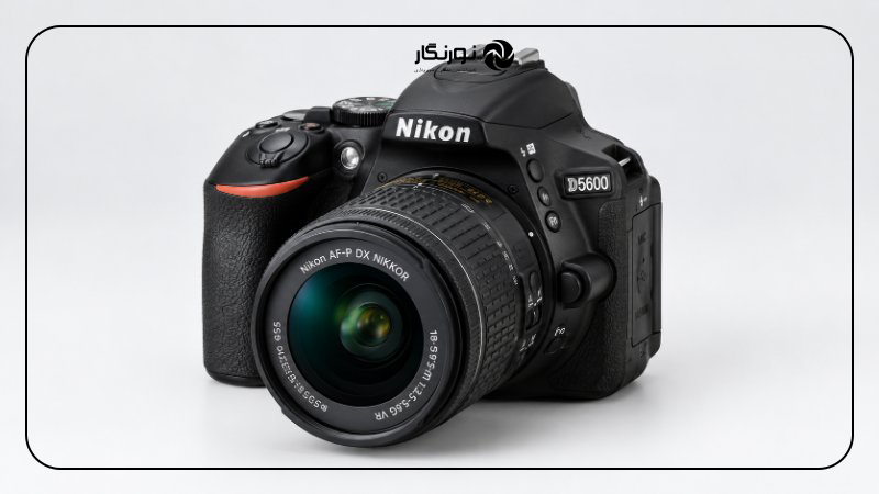 دوربین دست دوم نیکون D5600؛ مناسب برای عکاسی روزمره و پرتره